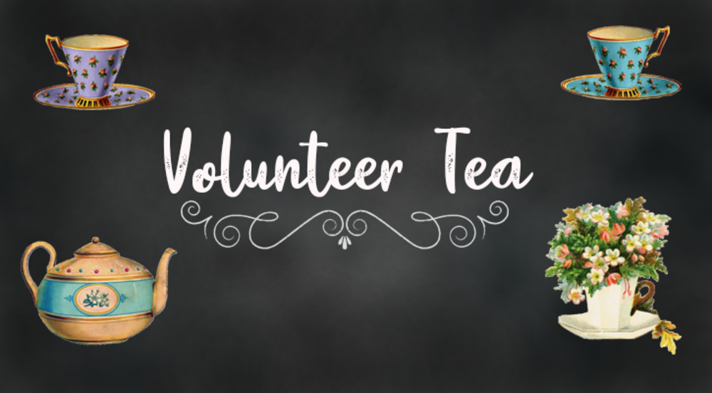 Volunteer